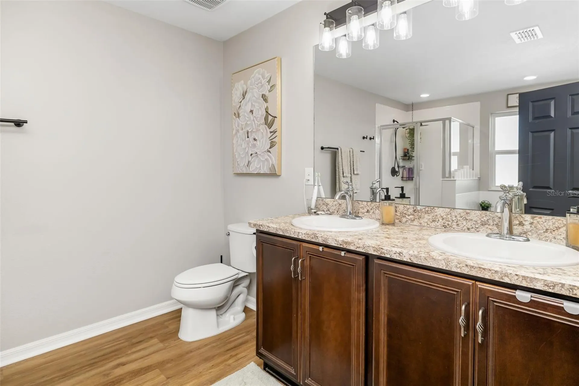10702 Aldo Moro Drive Wimauma FL 33598