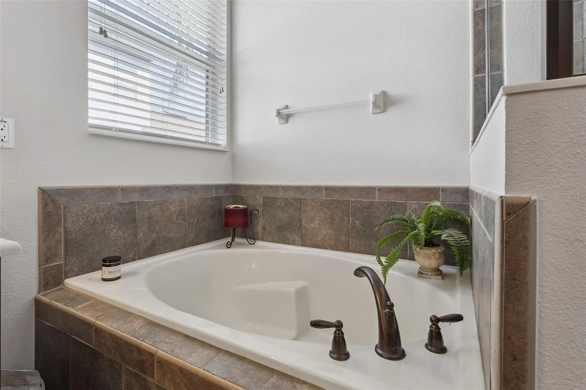 30337 Gidran Terrace Mount Dora FL 32757