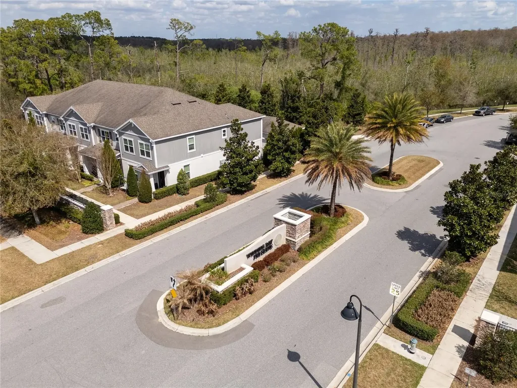 11187 Hanlon Terrace Alley Winter Garden FL 34787