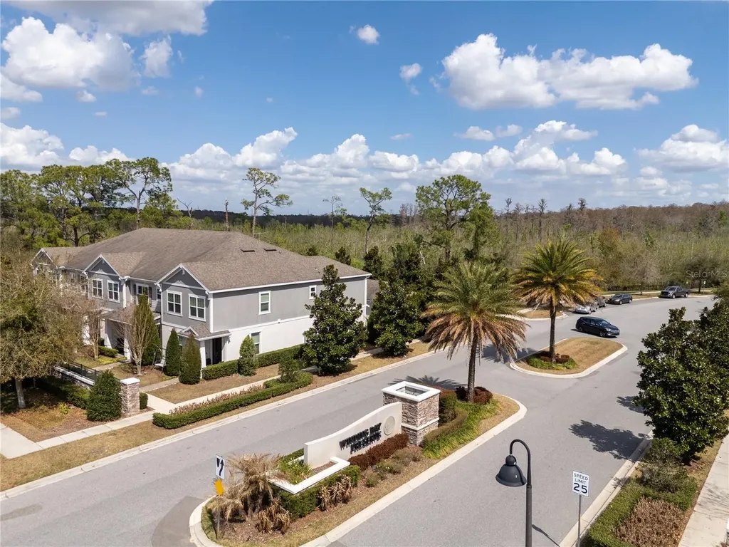 11187 Hanlon Terrace Alley Winter Garden FL 34787