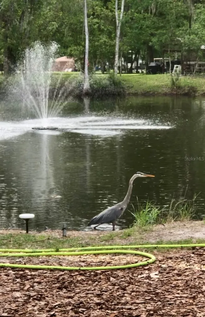 4718 Alpine Road Land O Lakes FL 34639