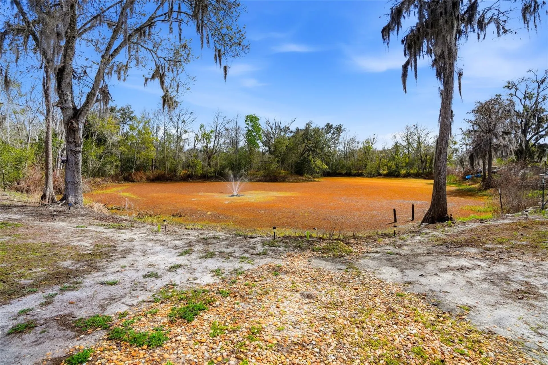 4718 Alpine Road Land O Lakes FL 34639
