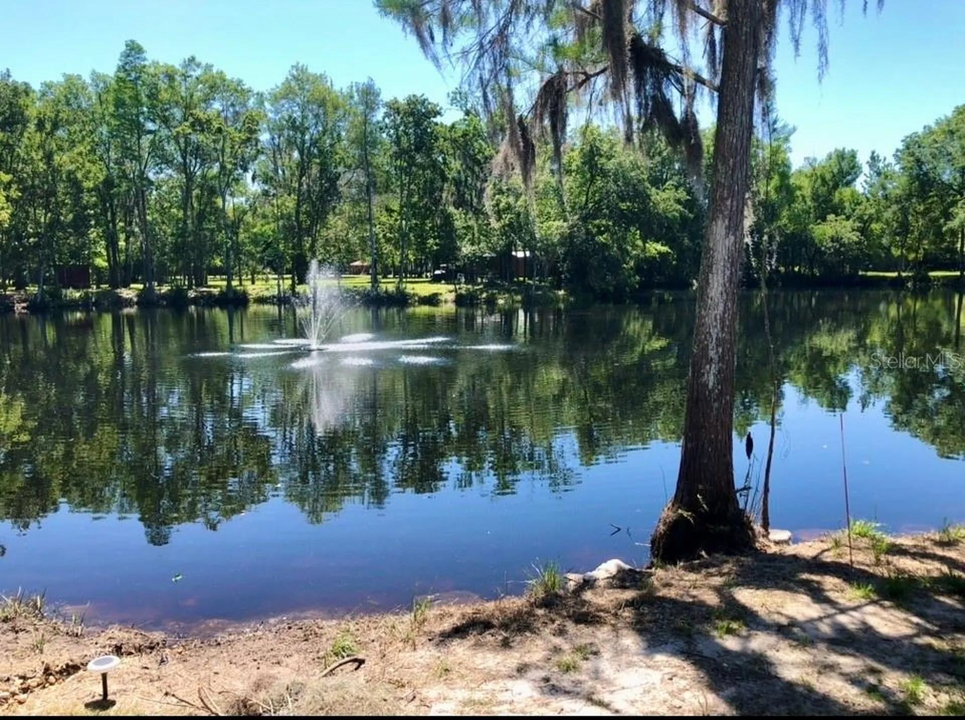 4718 Alpine Road Land O Lakes FL 34639