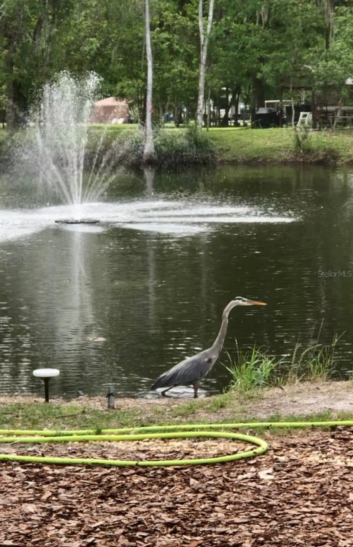 4718 Alpine Road Land O Lakes FL 34639