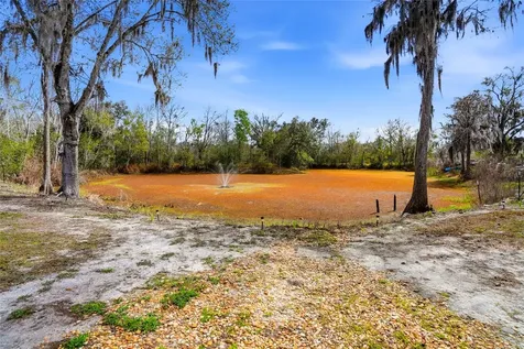 4718 Alpine Road Land O Lakes FL 34639