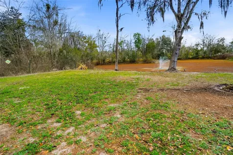4718 Alpine Road Land O Lakes FL 34639