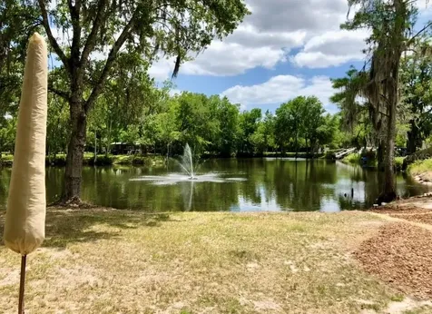 4718 Alpine Road Land O Lakes FL 34639