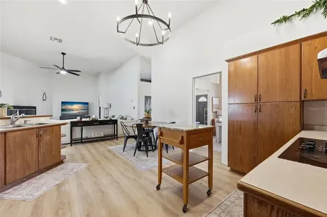 9115 NW 170th Street Alachua FL 32615