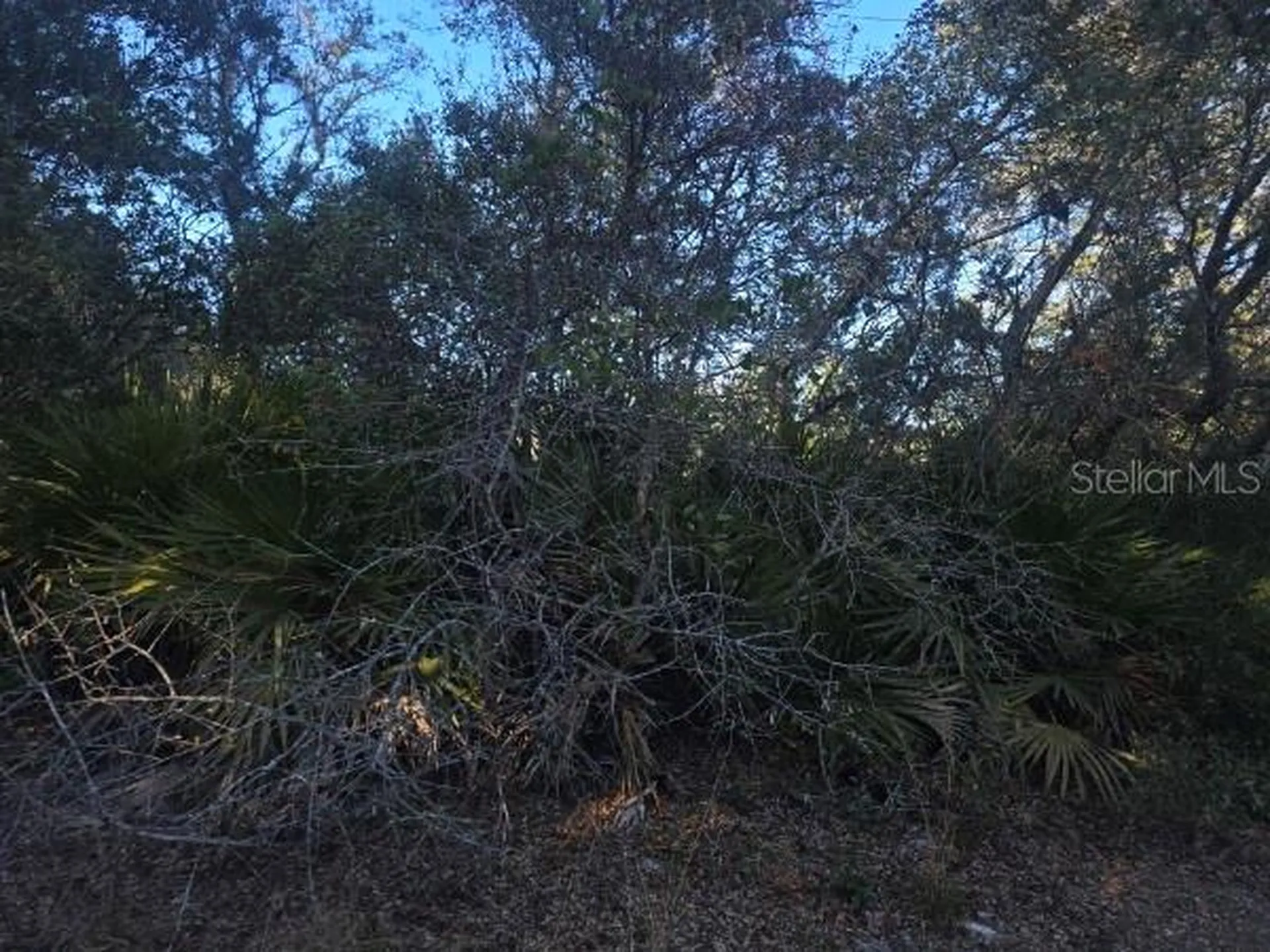 Malauka Pass Course Ocklawaha FL 32179