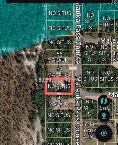 Malauka Pass Course Ocklawaha FL 32179