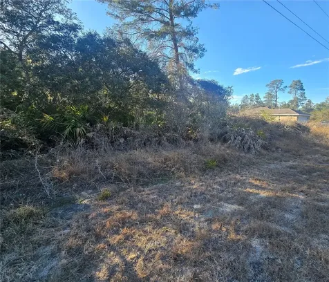 Malauka Pass Course Ocklawaha FL 32179