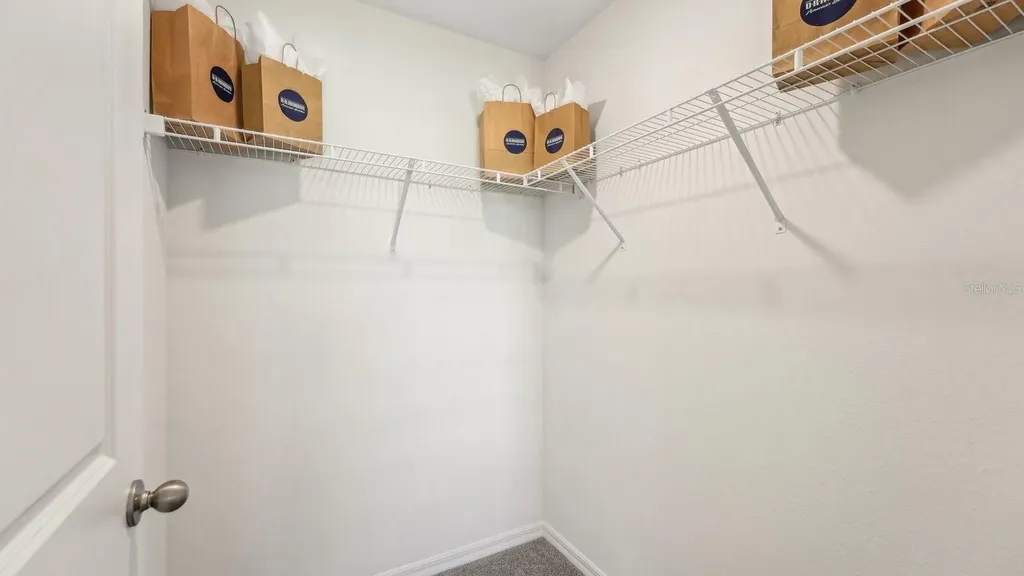 8753 Triumph Circle Wildwood FL 34785