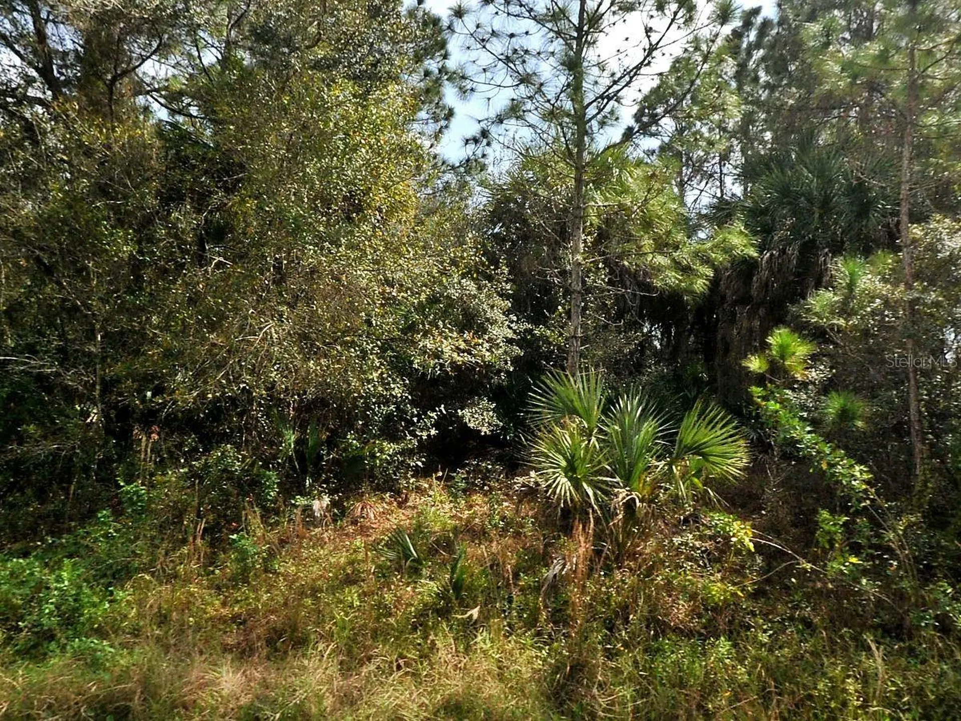 Hamilton Avenue North Port FL 34286
