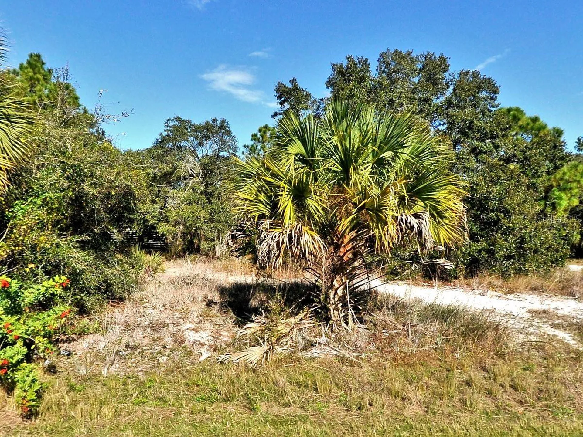 Greentree Avenue North Port FL 34286