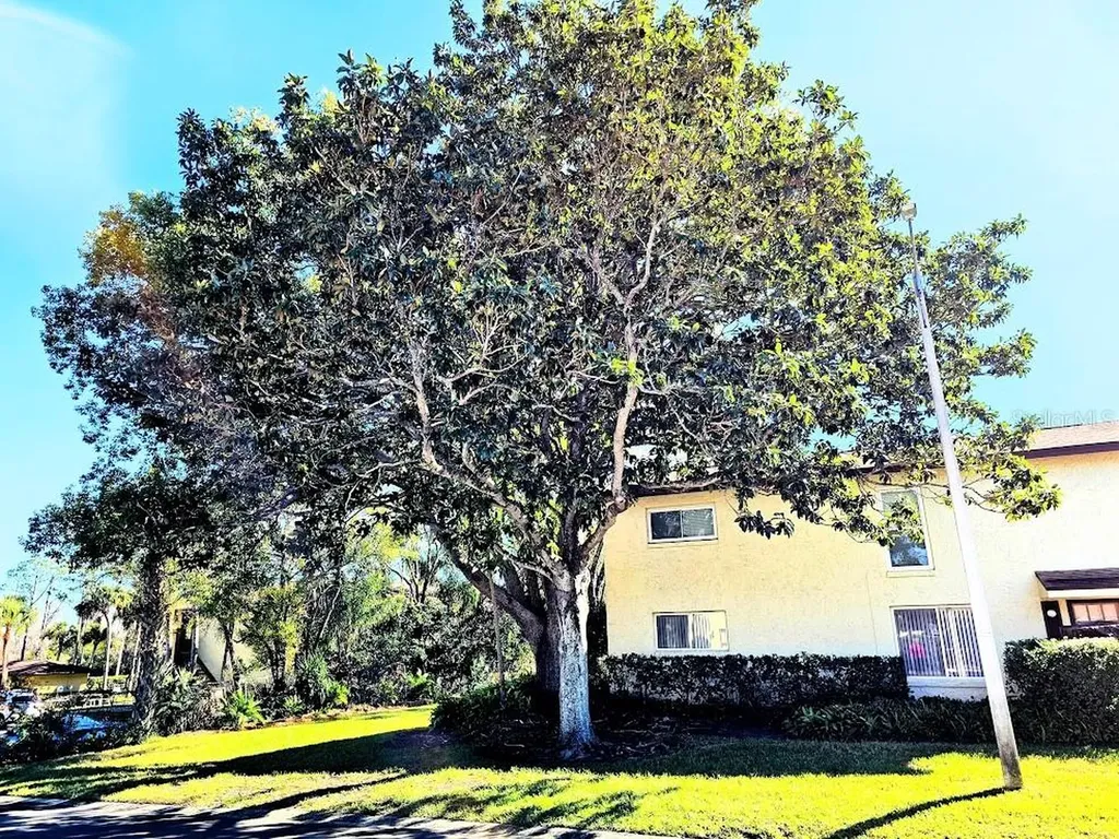 501 E Bay Drive Largo FL 33770