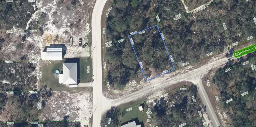102 Edison Road NE Lake Placid FL 33852