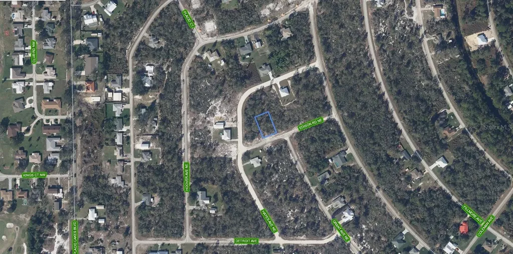 102 Edison Road NE Lake Placid FL 33852