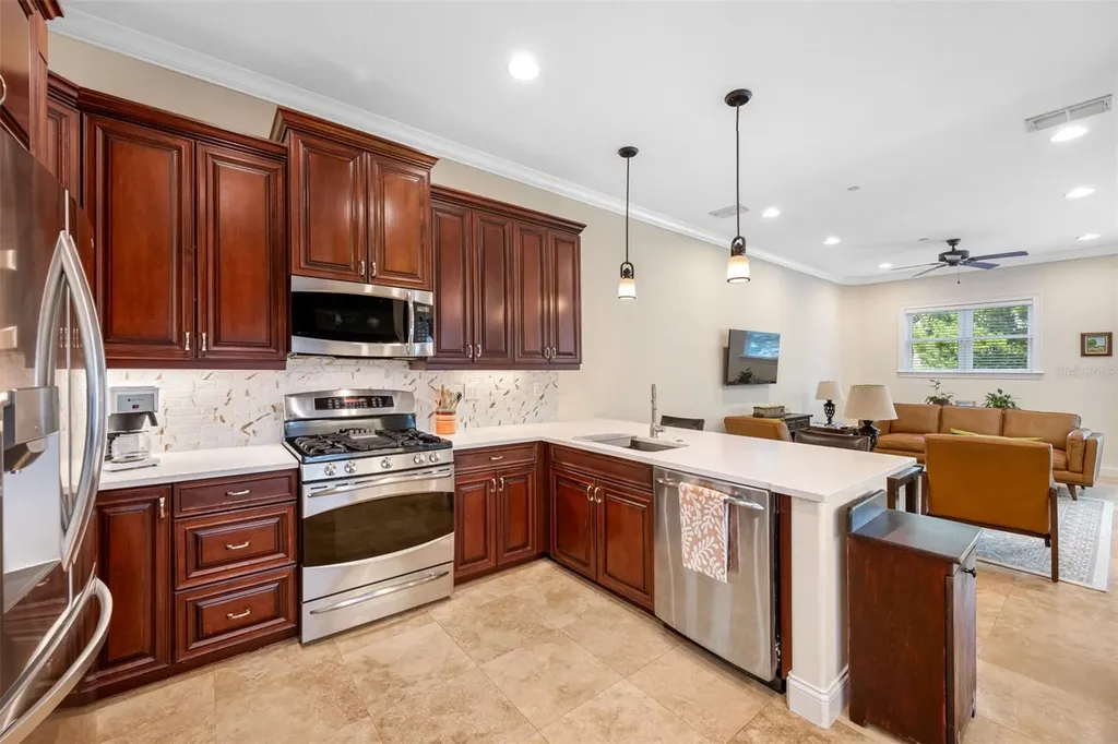 1425 Hillside Landing Drive Tarpon Springs FL 34688