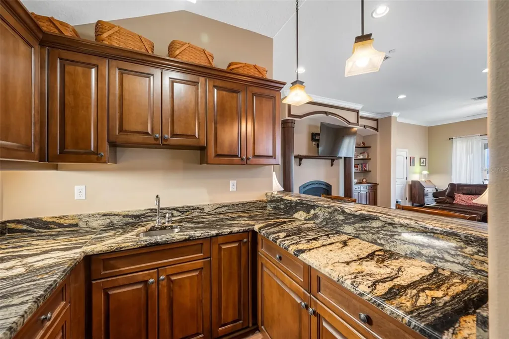 1425 Hillside Landing Drive Tarpon Springs FL 34688