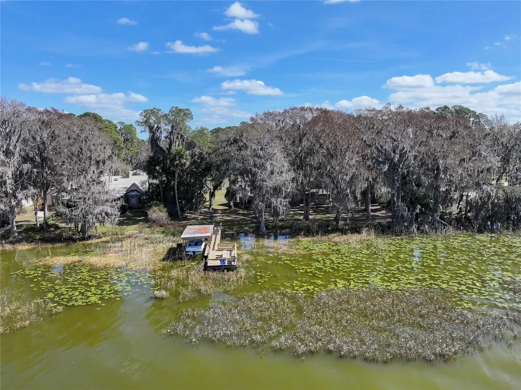 31035 Cove Road Tavares FL 32778