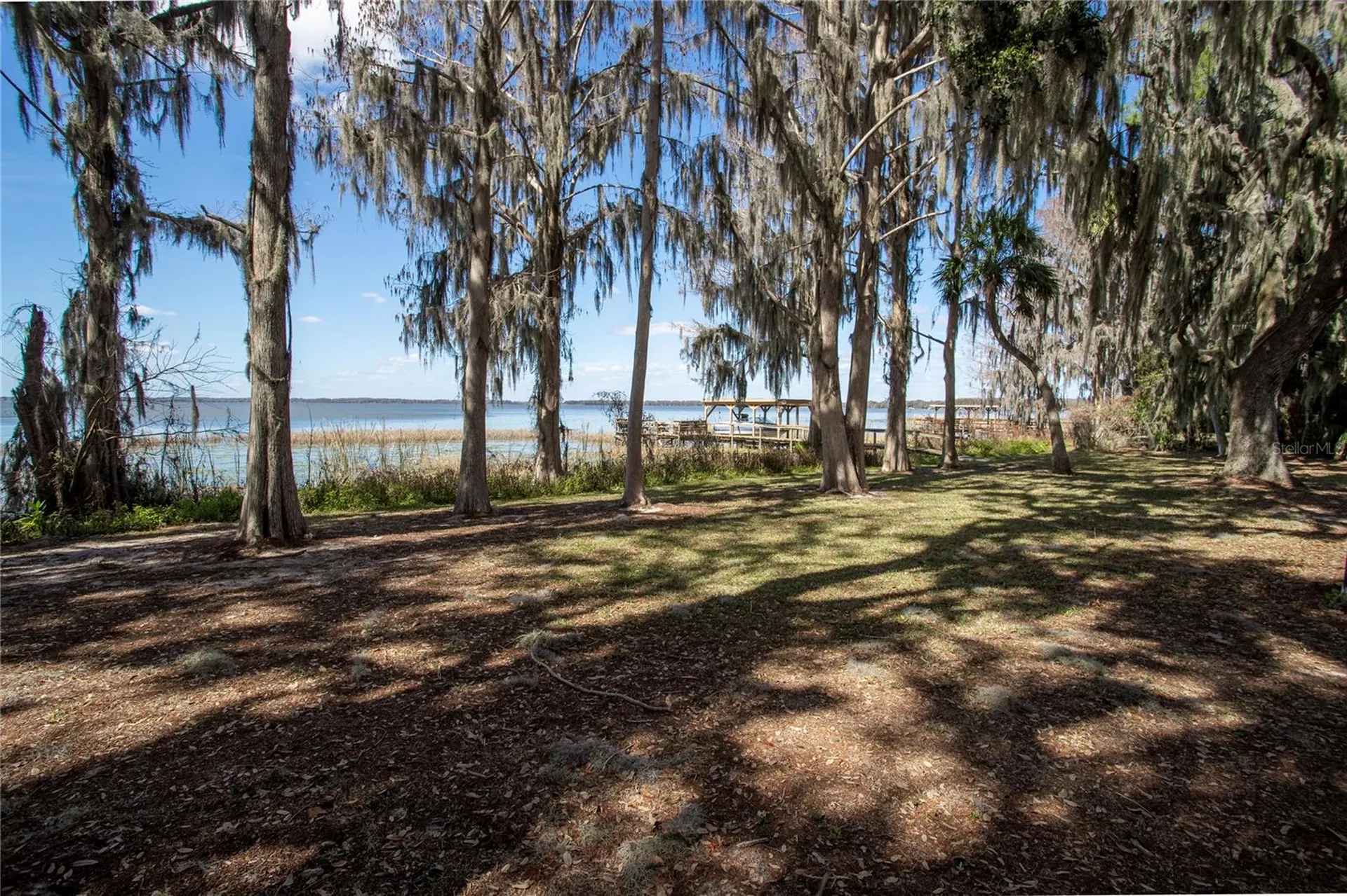 31035 Cove Road Tavares FL 32778