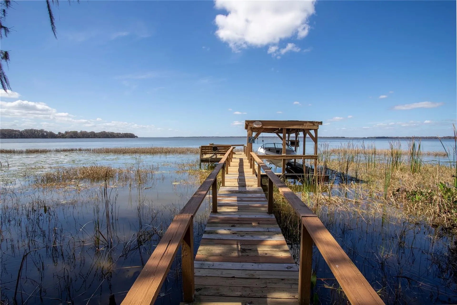 31035 Cove Road Tavares FL 32778
