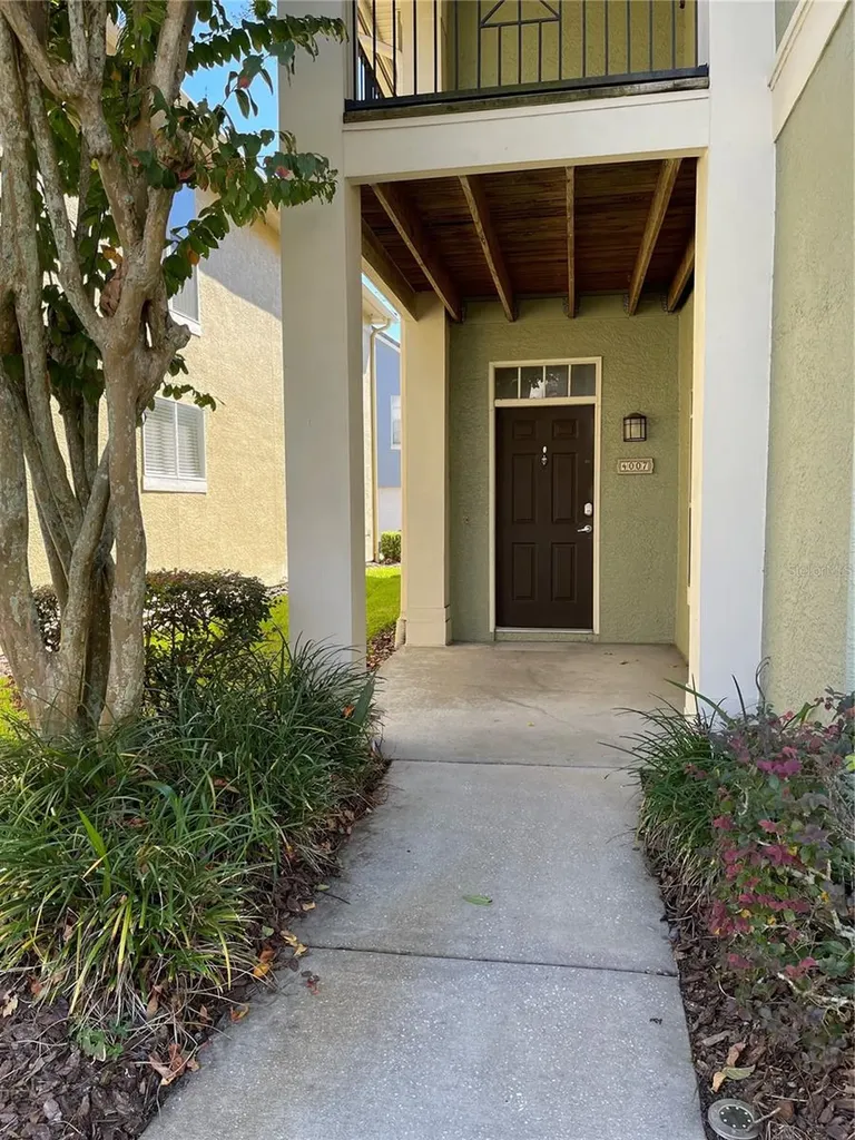 4007 Sand Palm Court Tampa FL 33624