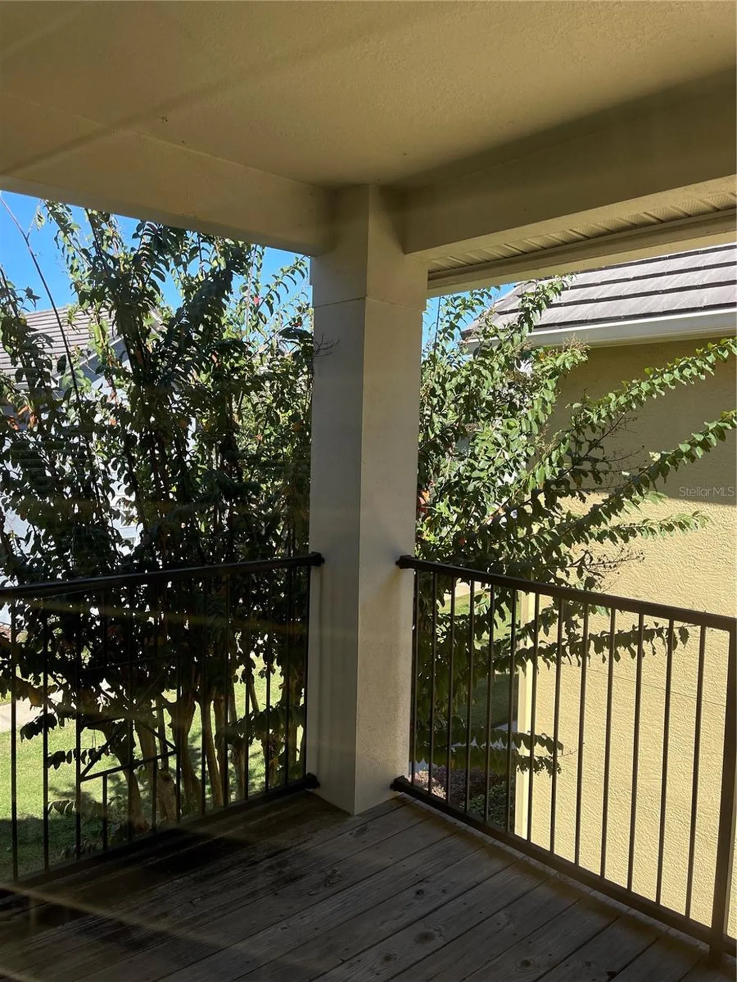 4007 Sand Palm Court Tampa FL 33624
