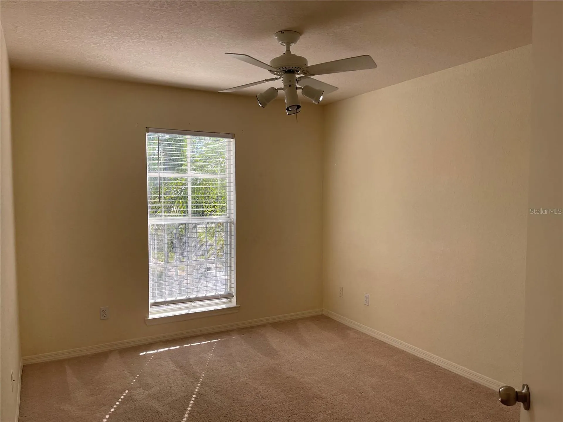 4007 Sand Palm Court Tampa FL 33624