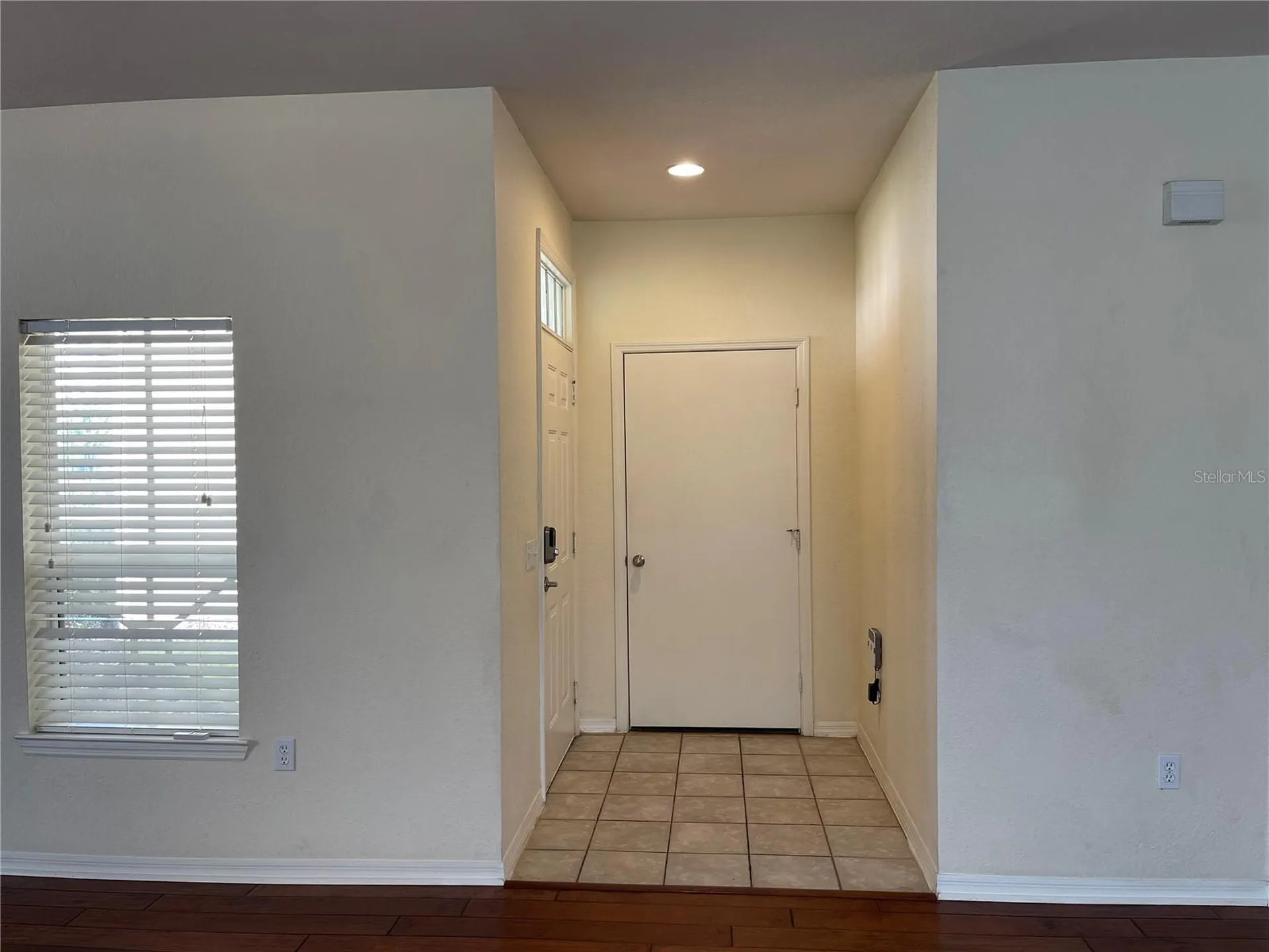 4007 Sand Palm Court Tampa FL 33624