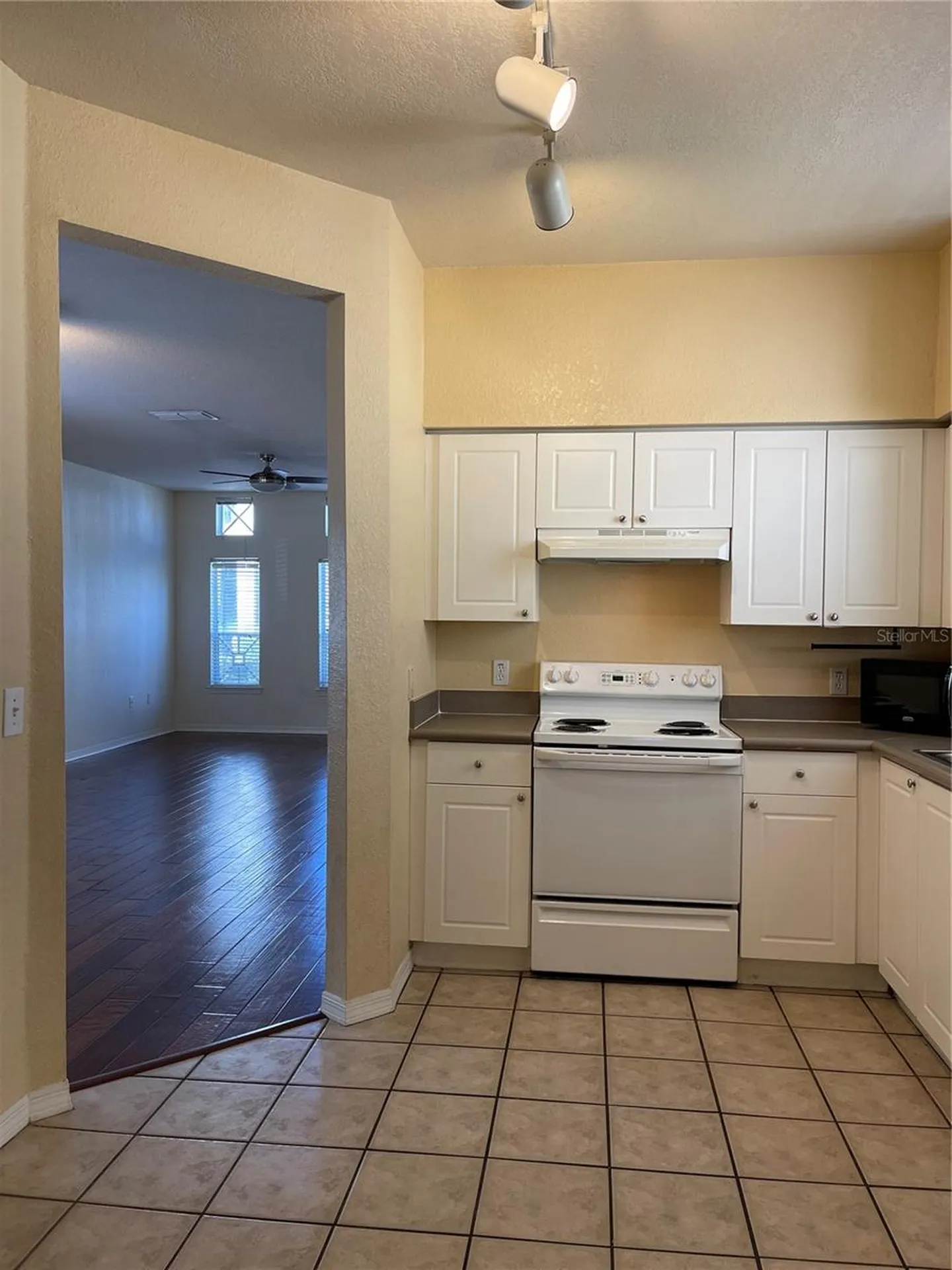 4007 Sand Palm Court Tampa FL 33624