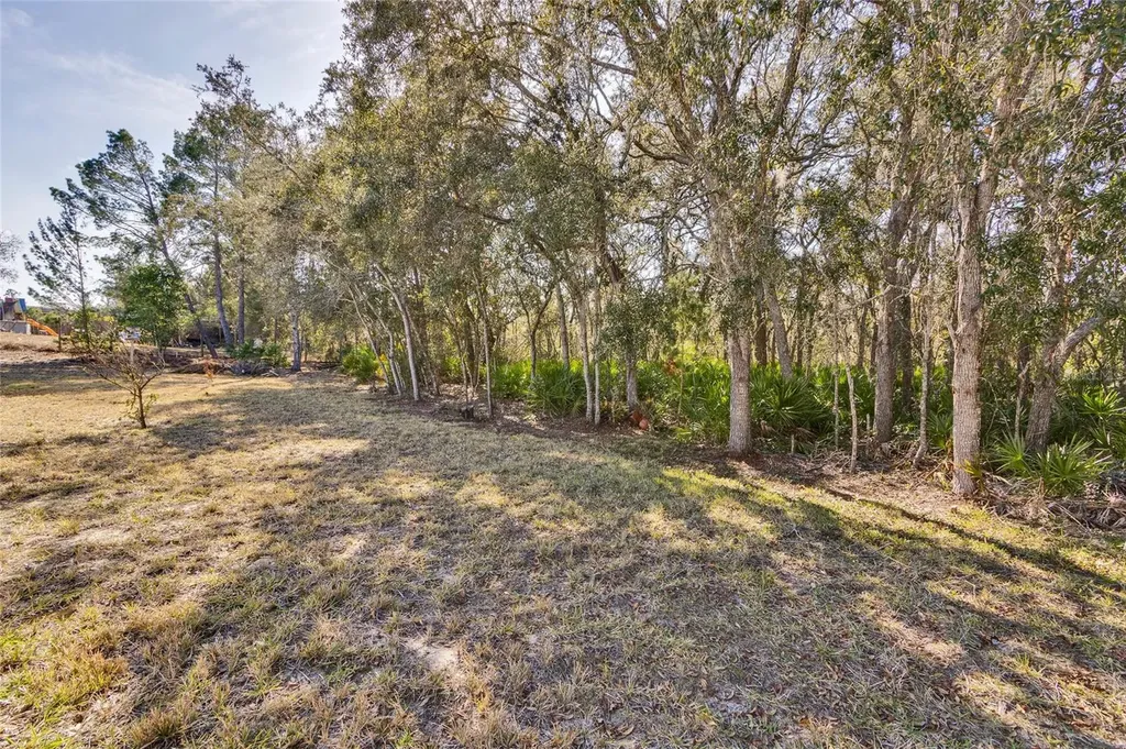 7095 Blackbird Avenue Weeki Wachee FL 34613