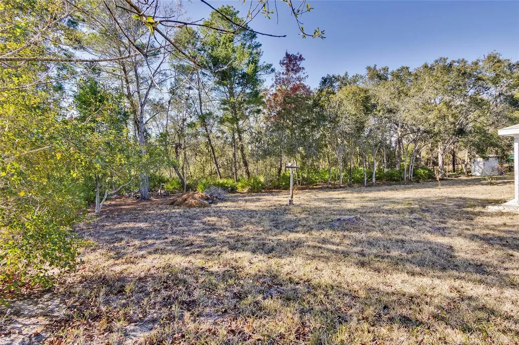 7095 Blackbird Avenue Weeki Wachee FL 34613