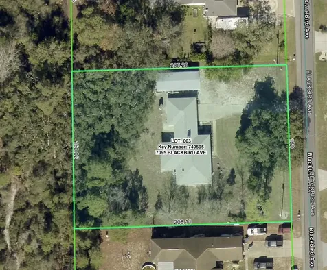 7095 Blackbird Avenue Weeki Wachee FL 34613