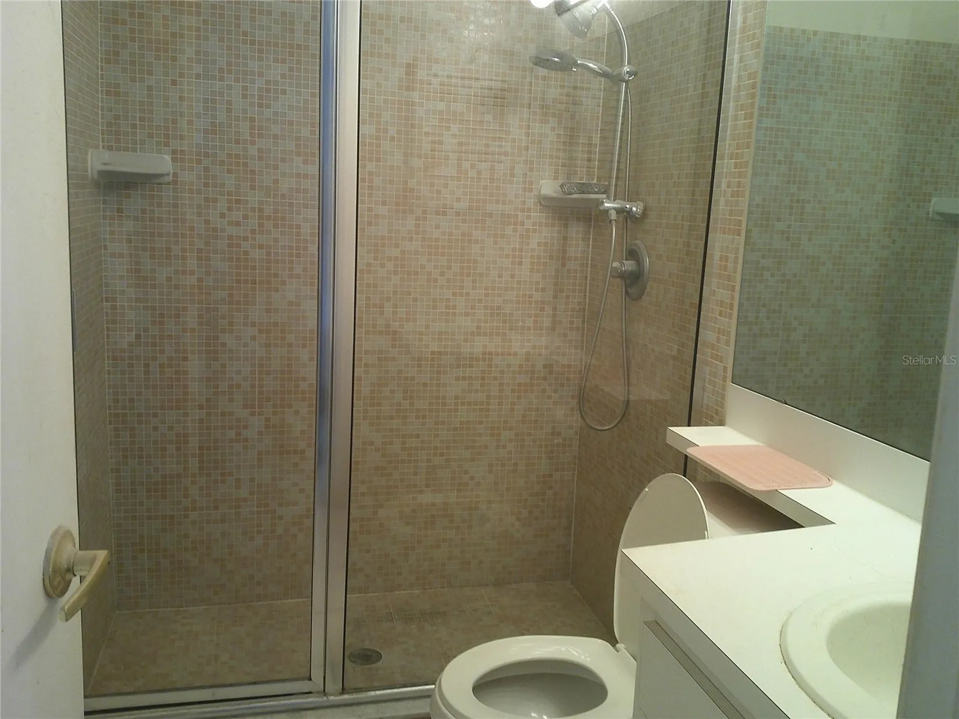 1084 Meadowood Pointe Road Lakeland FL 33811