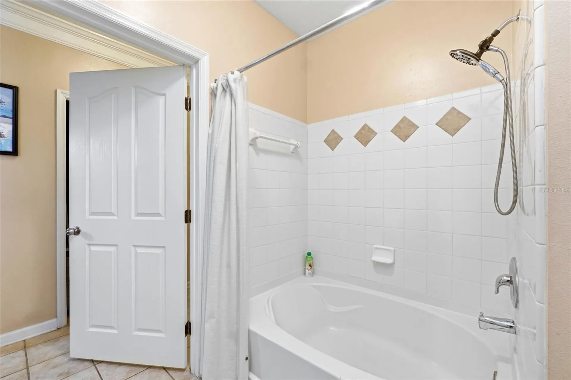 12837 Madison Pointe Circle Orlando FL 32821