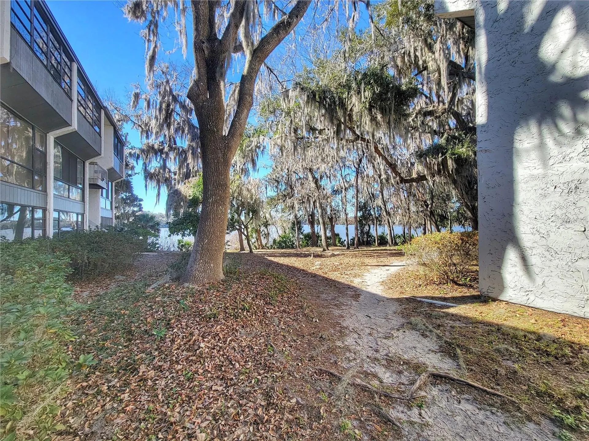 2830 SW 14th Drive Gainesville FL 32608