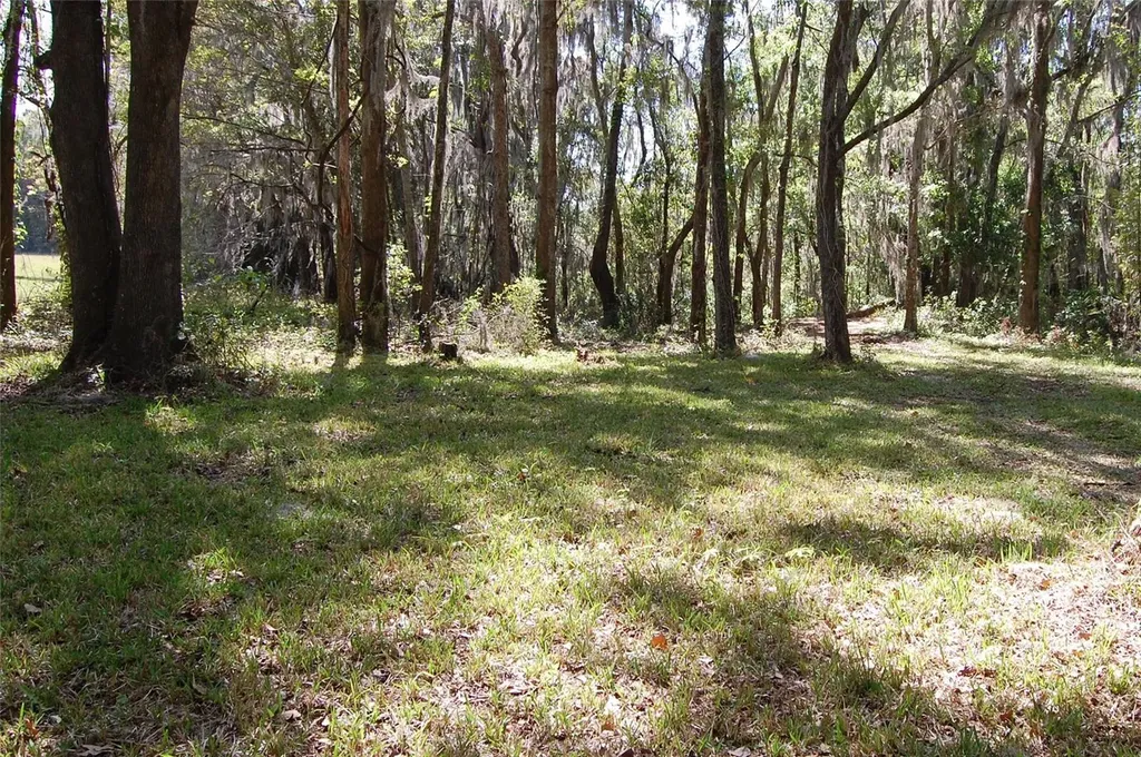27471 NW 173rd Terrace Alachua FL 32615