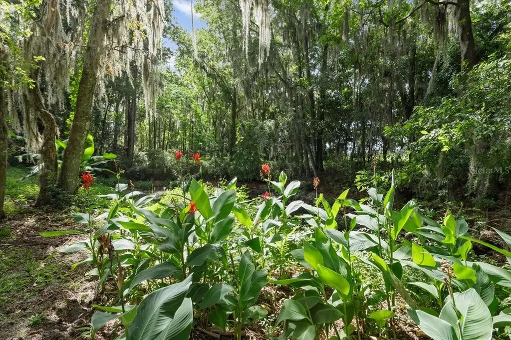 27471 NW 173rd Terrace Alachua FL 32615