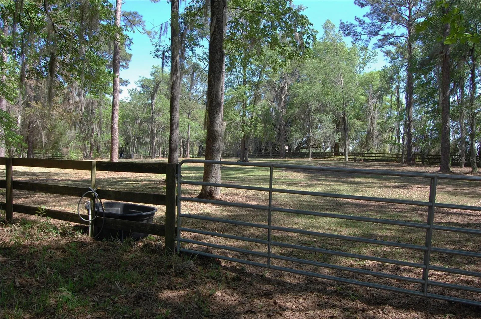 27471 NW 173rd Terrace Alachua FL 32615