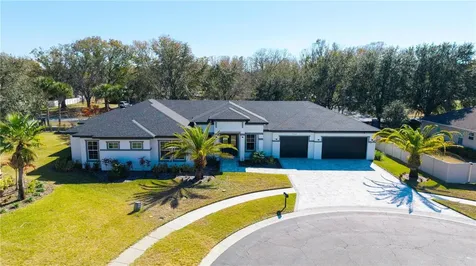 21206 Ski Way Land O Lakes FL 34638