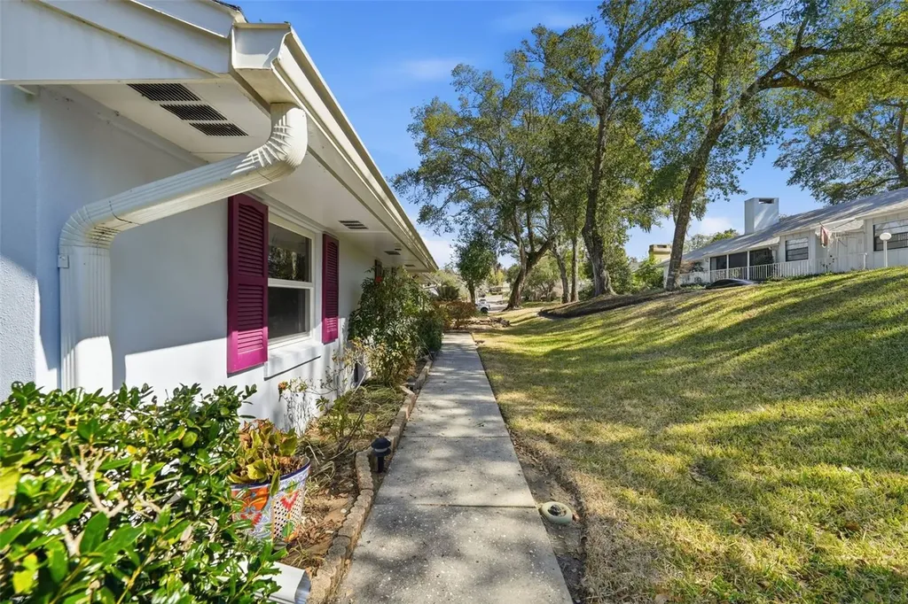 58 Townhill Drive Eustis FL 32726