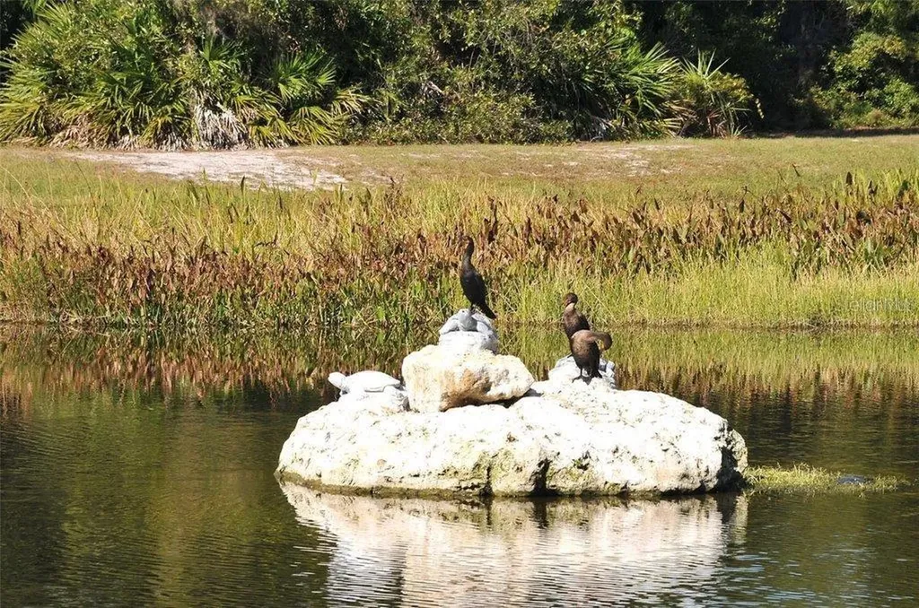 8183 Nice Way Sarasota FL 34238
