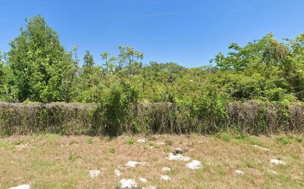 Boitnott Lane Bushnell FL 33513