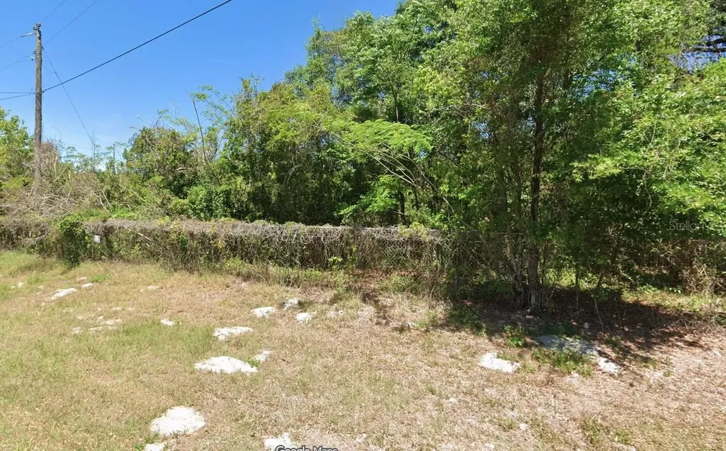 Boitnott Lane Bushnell FL 33513