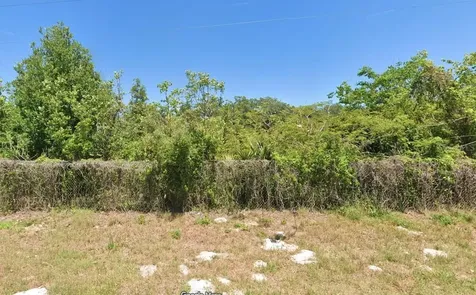 Boitnott Lane Bushnell FL 33513