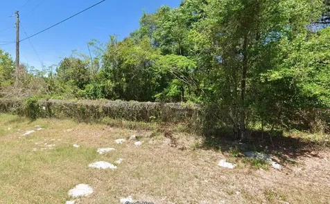 Boitnott Lane Bushnell FL 33513