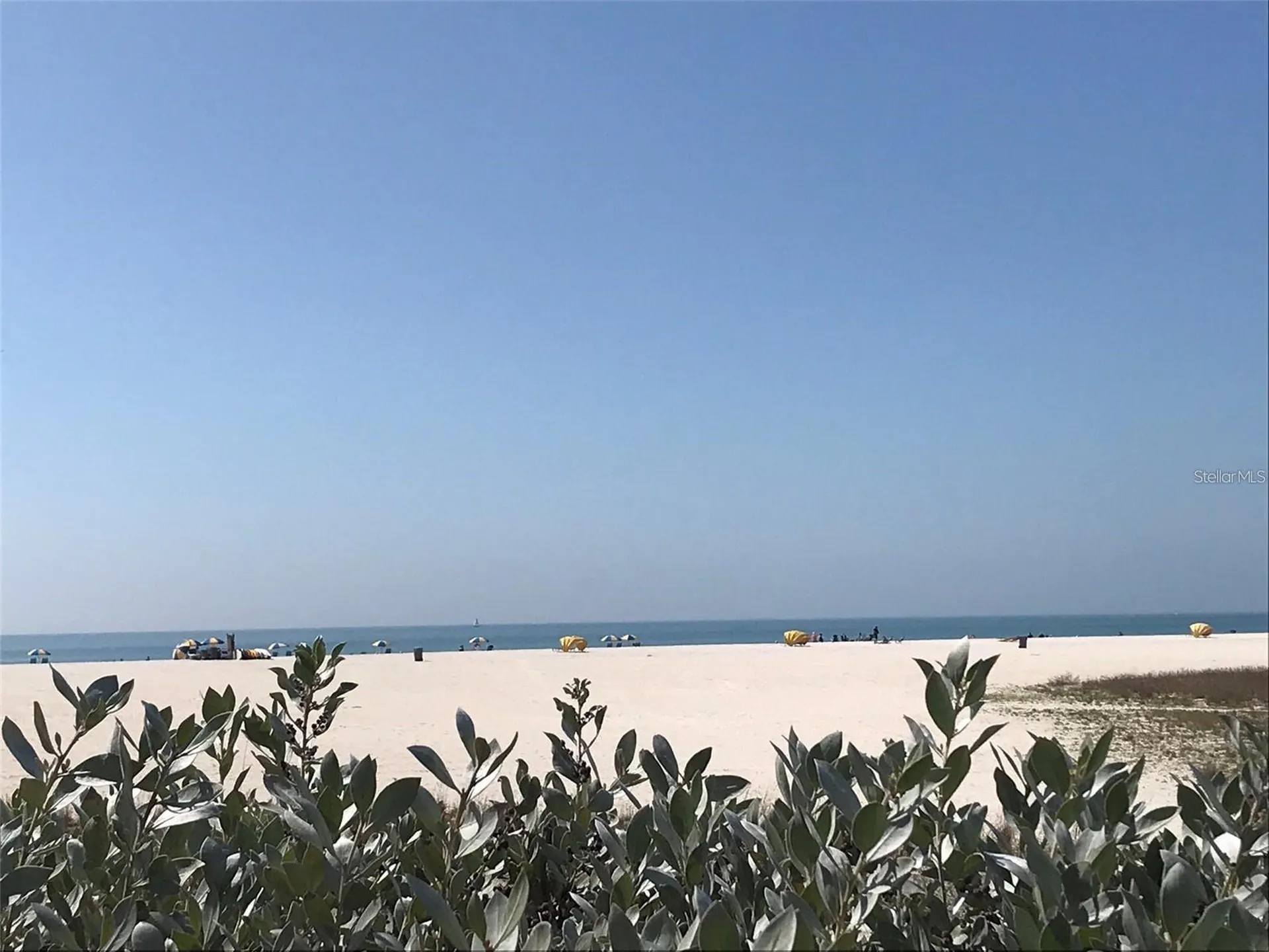 1000 Cove Cay Drive Clearwater FL 33760