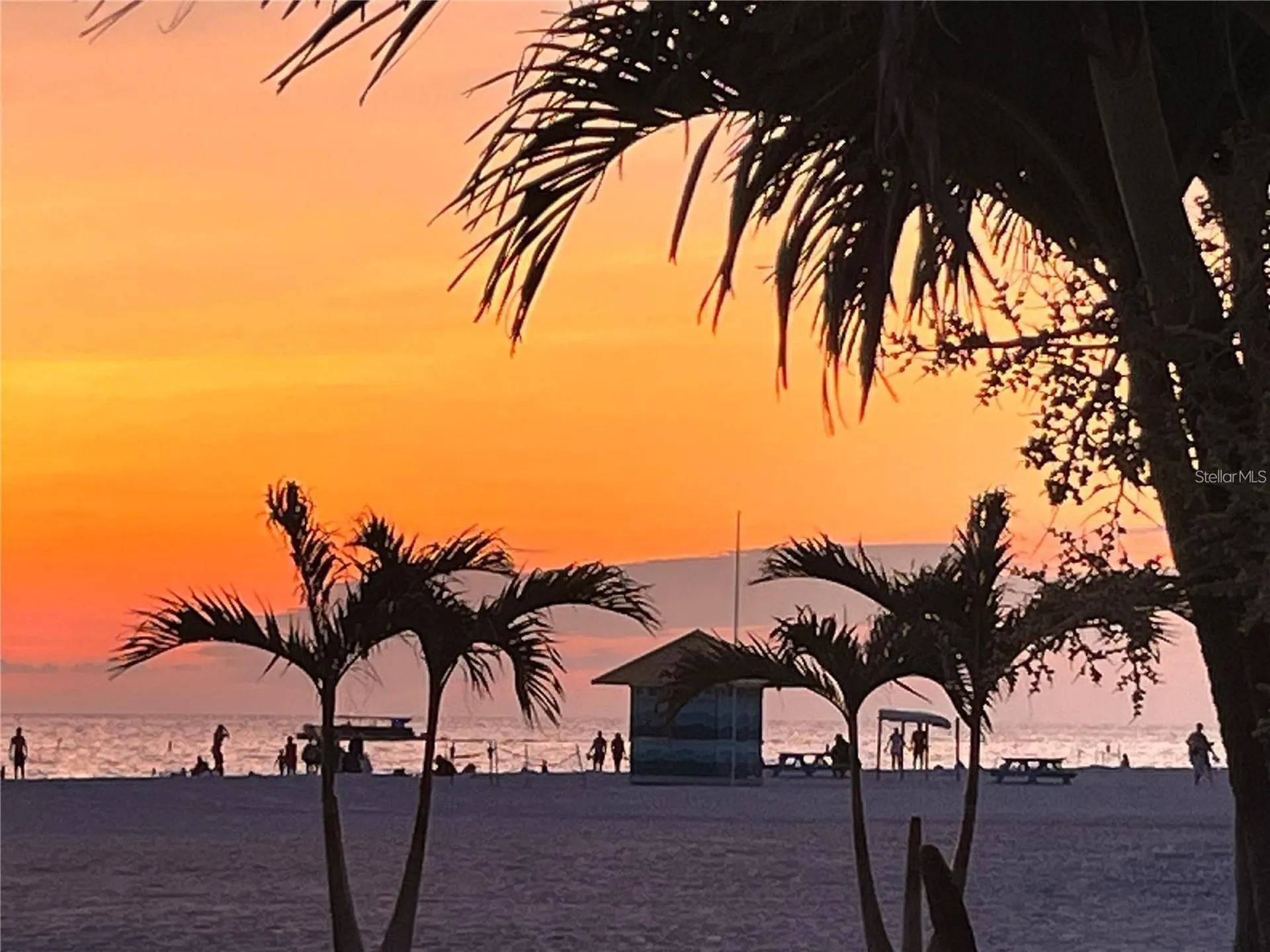 1000 Cove Cay Drive Clearwater FL 33760