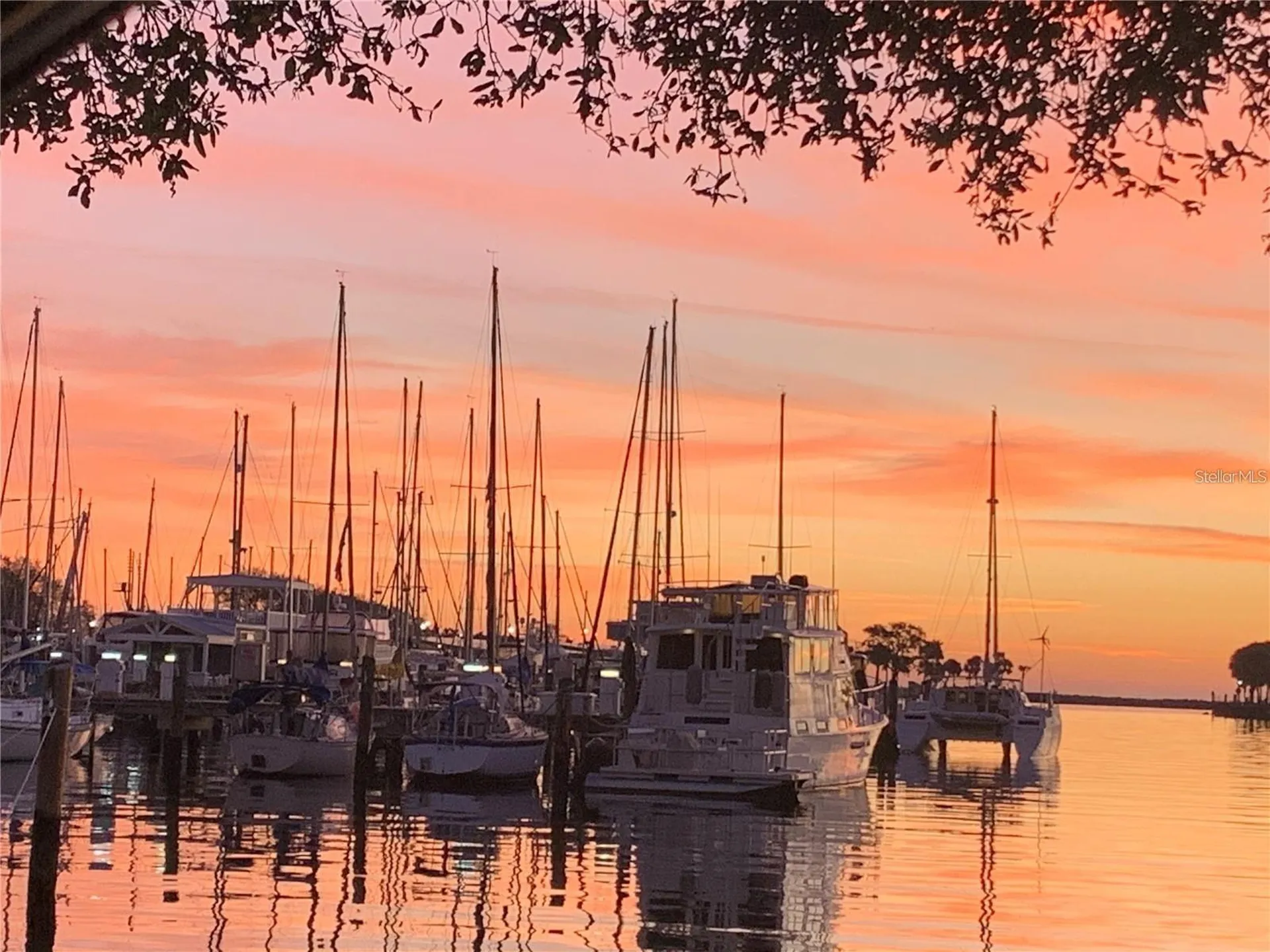 1000 Cove Cay Drive Clearwater FL 33760